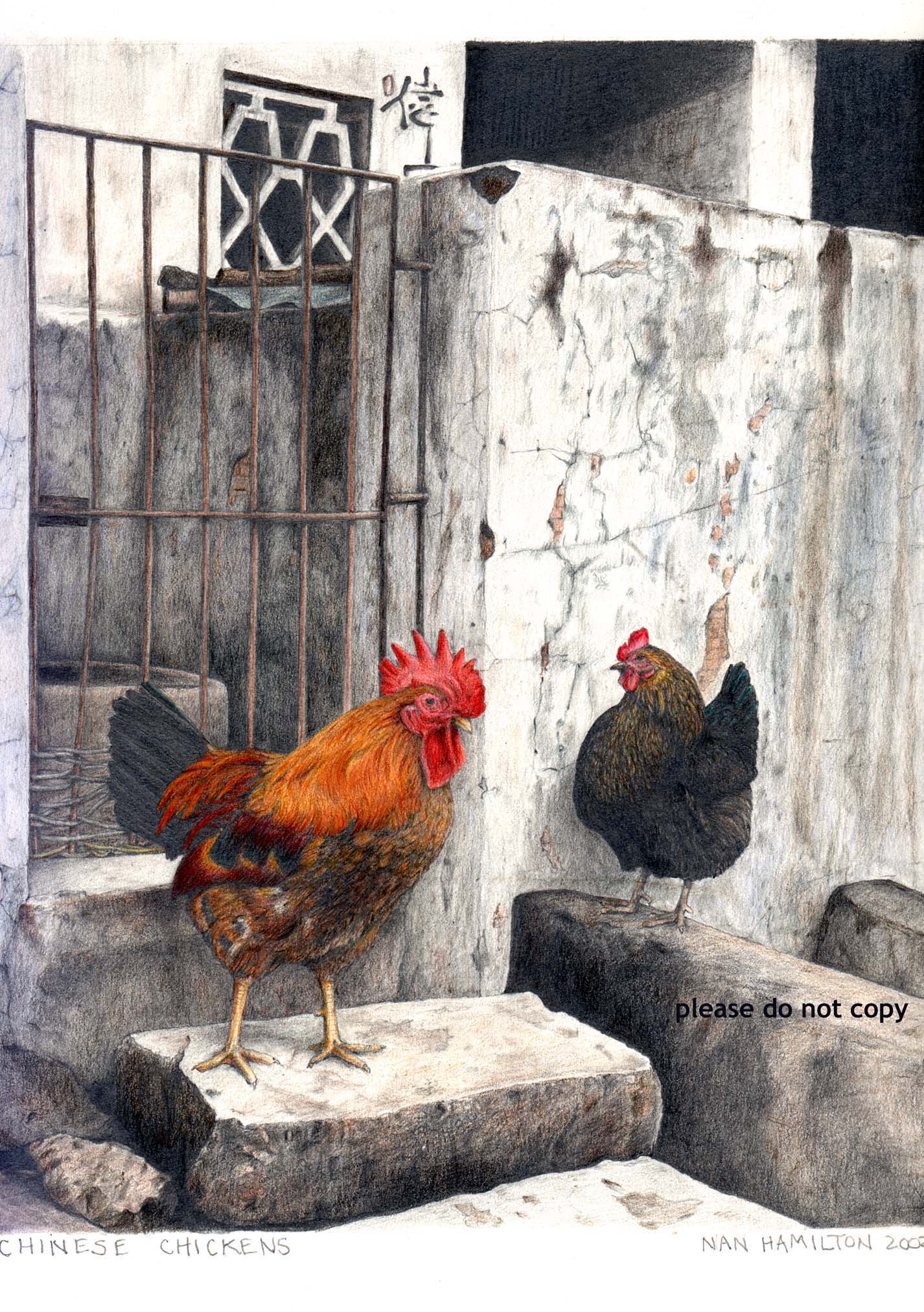 Chinese Chickens