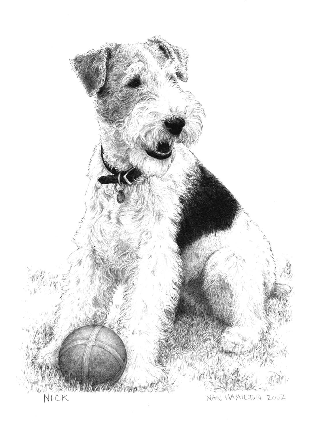 Nick