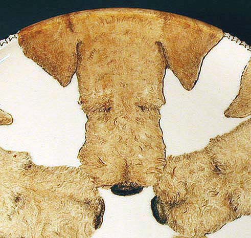 Airedale Star