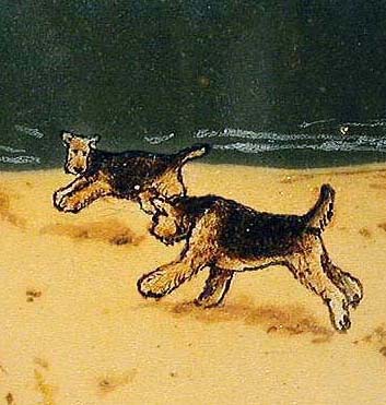Airedale Beach