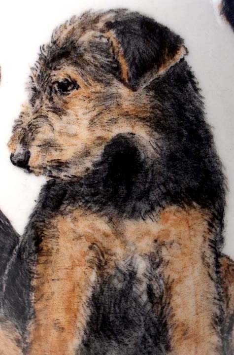 Airedale Shaker