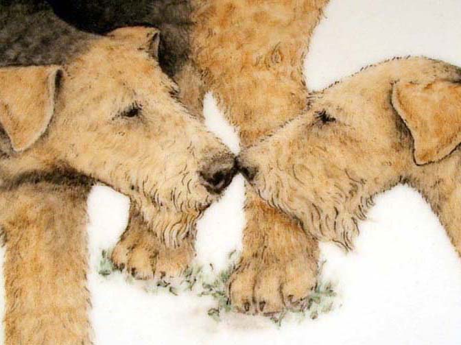 Nose to Nose