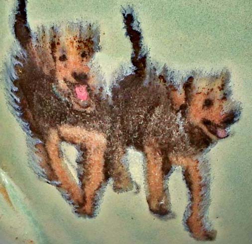Airedale puppies