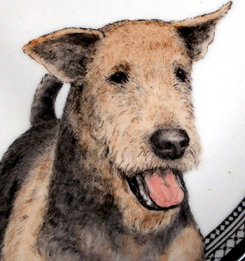 Running Airedales