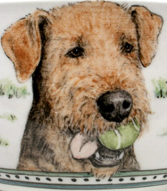 Balls and Dogs