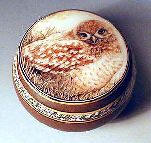 Burrowing Owl