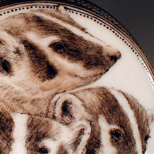 Badgers