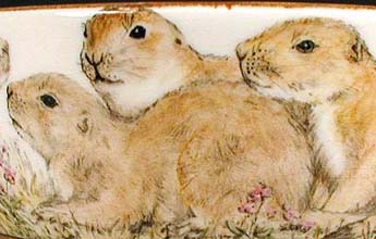 Prairie Dogs