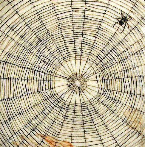 Spider Web