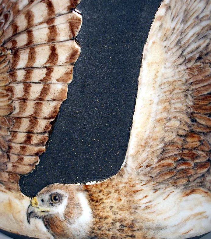 Hawks