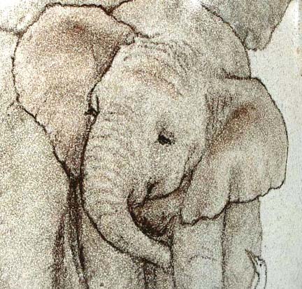 Elephants