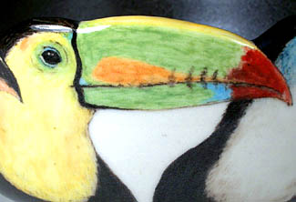 Toucans