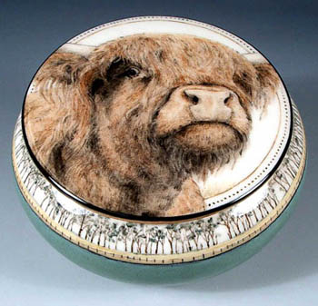 Highland Cow