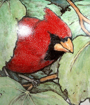 Cardinals