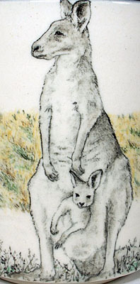 Kangaroos