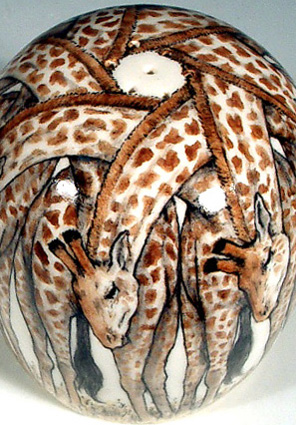 Giraffes