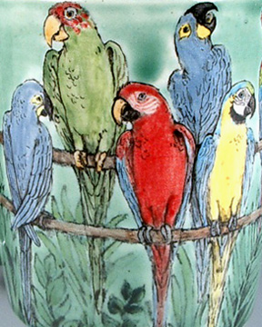 Parrots