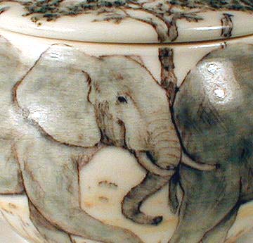 Elephants