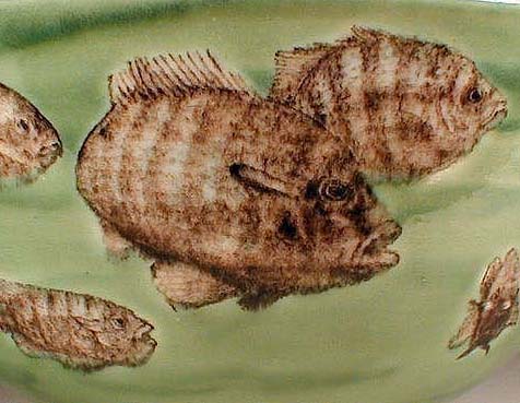 Bluegills