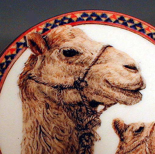 Camel
