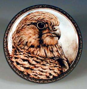 Kestrel