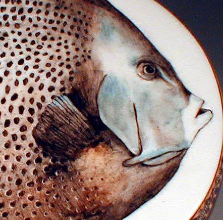 Angel Fish