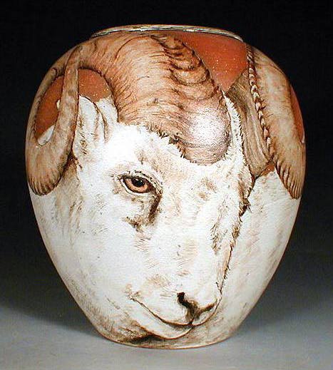 Dall Sheep