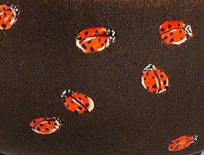 Ladybugs