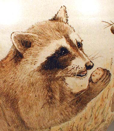 Raccoons