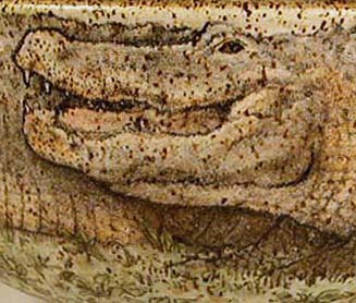 Alligators