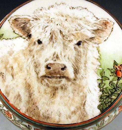 Highland Calf
