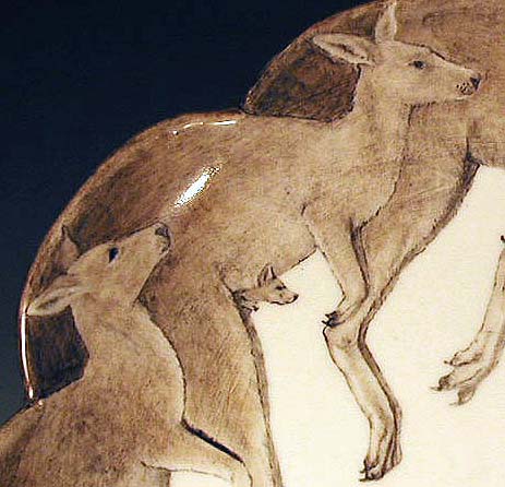 Kangaroos