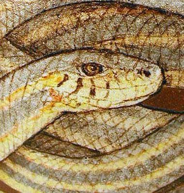 Snakes