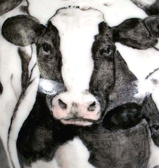 Cows