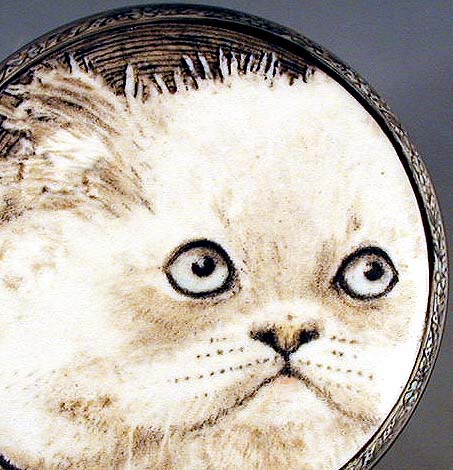 Kitten