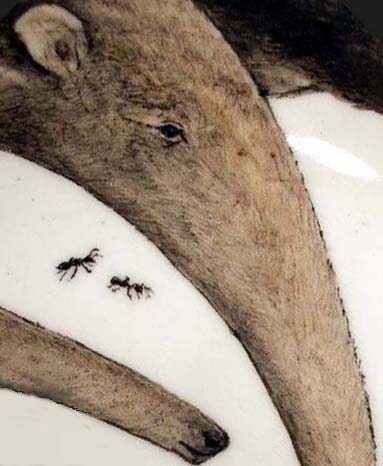Anteaters