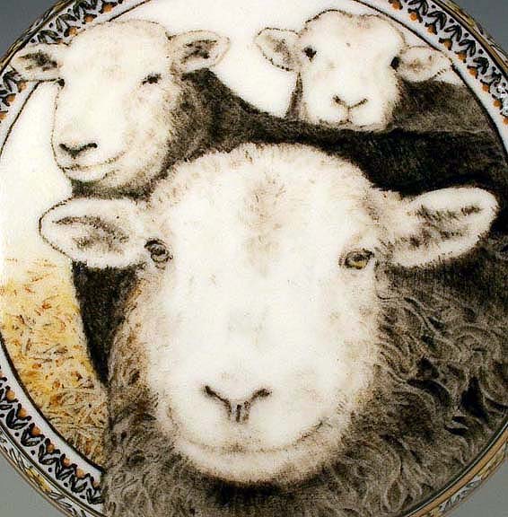 Sheep