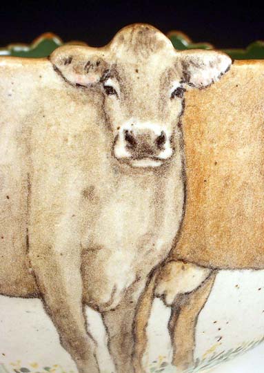 Cows