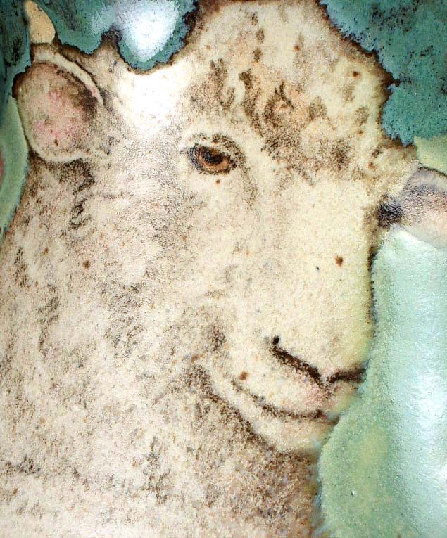 Sheep