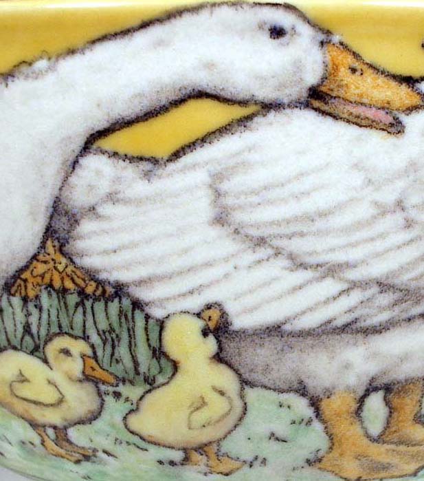 Ducks