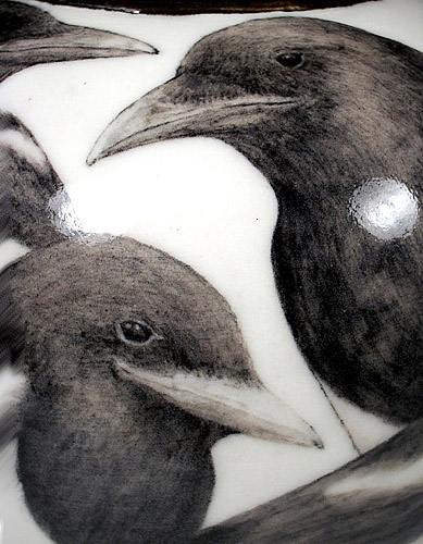 Magpies