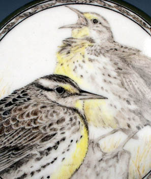 Meadowlarks