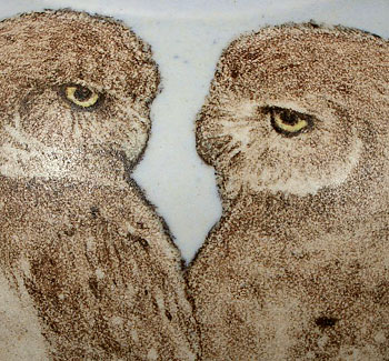 Owls