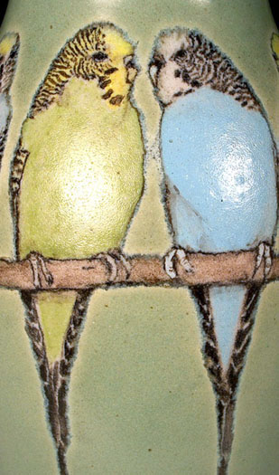 Parakeets