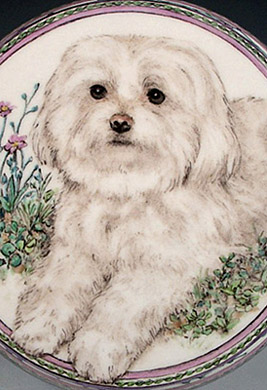 Bianca Maltese