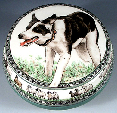 Bonus, Border Collie
