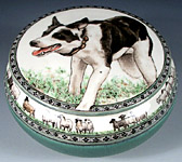 Bonus, Border Collie