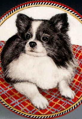 Gracie Pomeranian