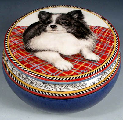Gracie Pomeranian