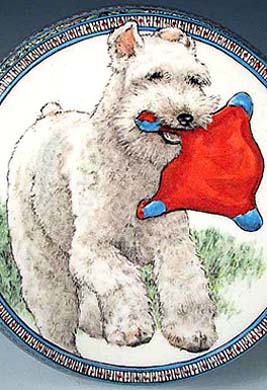 Griffey, Wire Haired Fox Terrier